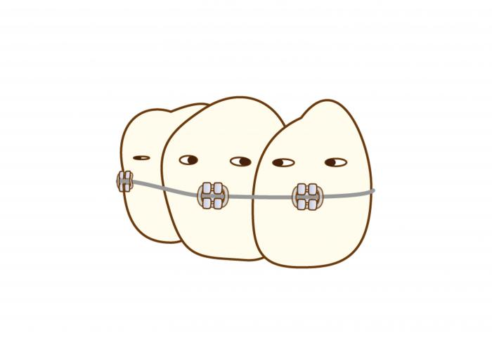 歯が動く仕組み