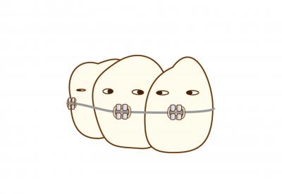 歯が動く仕組み