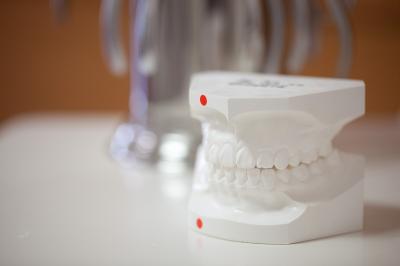 初回矯正相談について