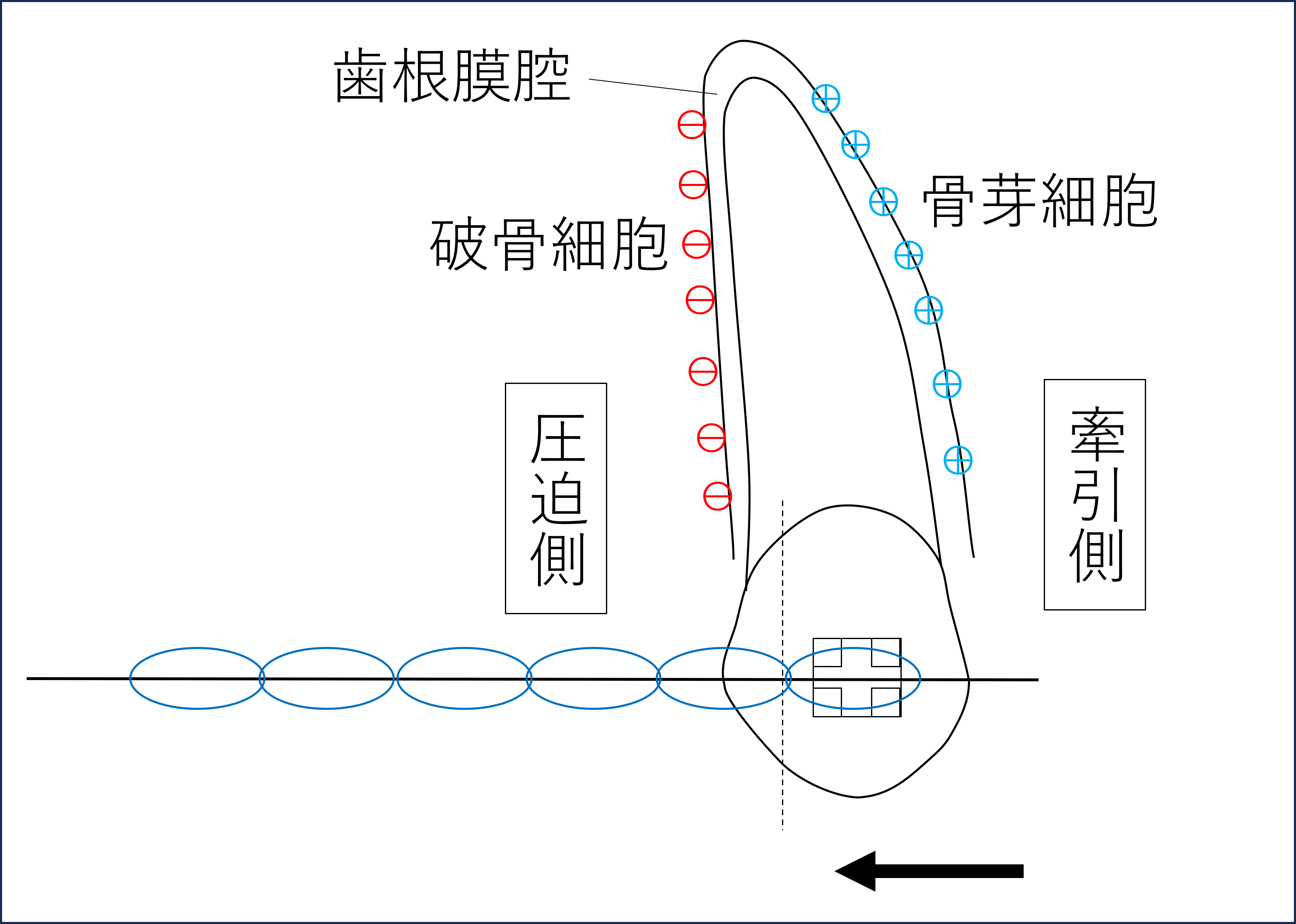 うえき矯正歯科 岡山市の矯正歯科